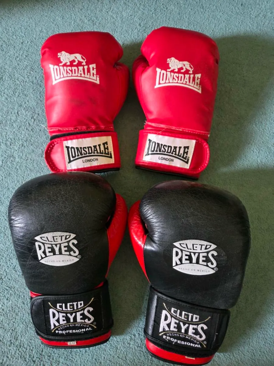 Reyes Boxing gloves 16 oz - Image 1