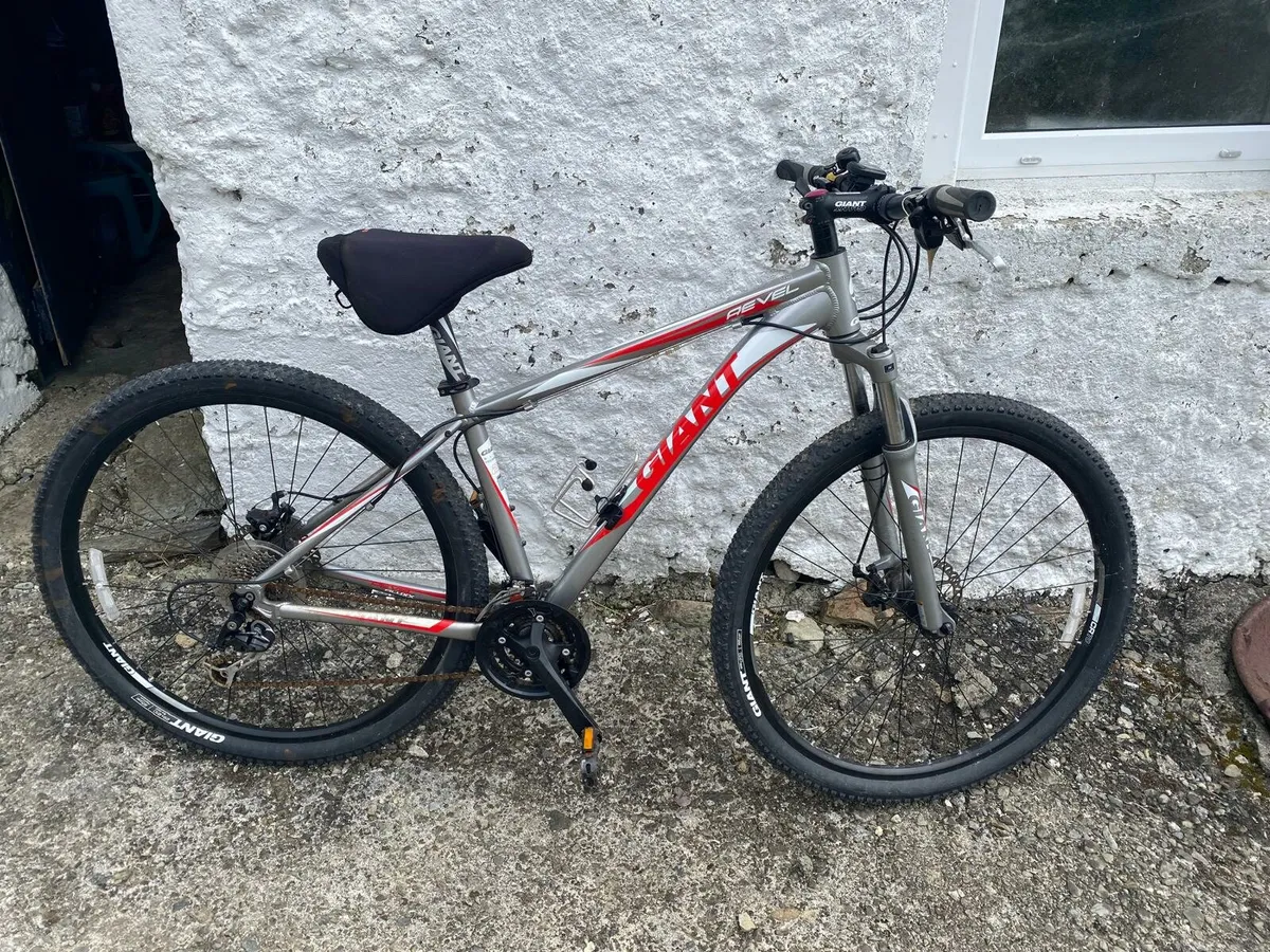 Mountain bike - Image 2