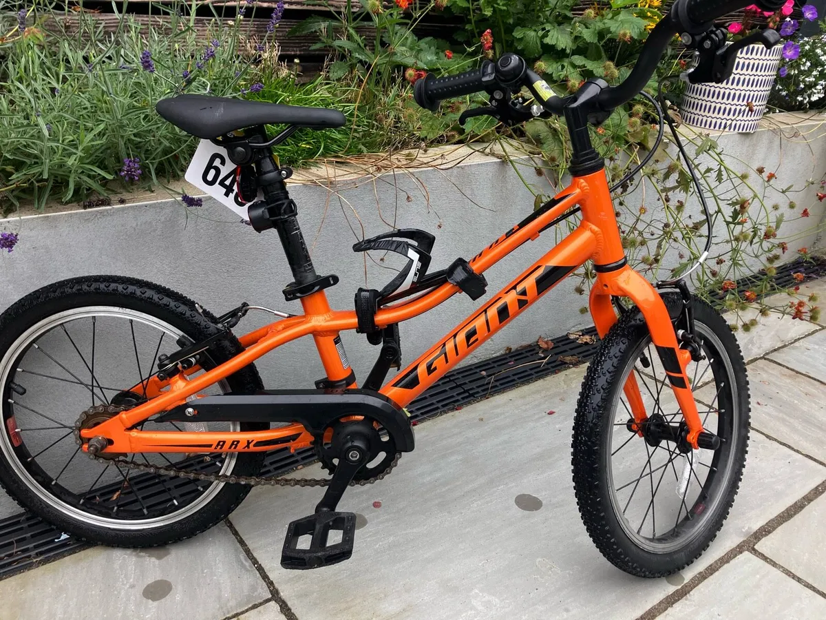Giant ARX 16” kids bike - Image 1