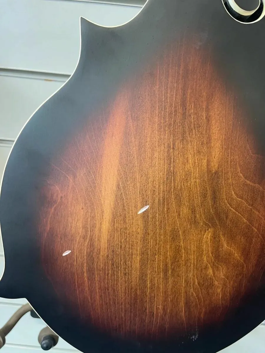 Ortega Mandolin - Image 4