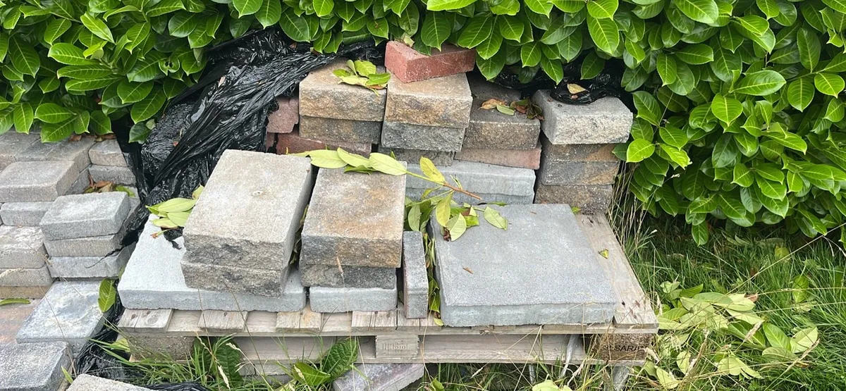 Bricks - Image 1