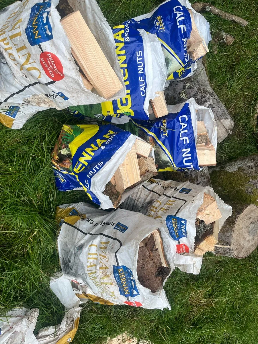 Majority ash hardwood firewood for sale - Image 3