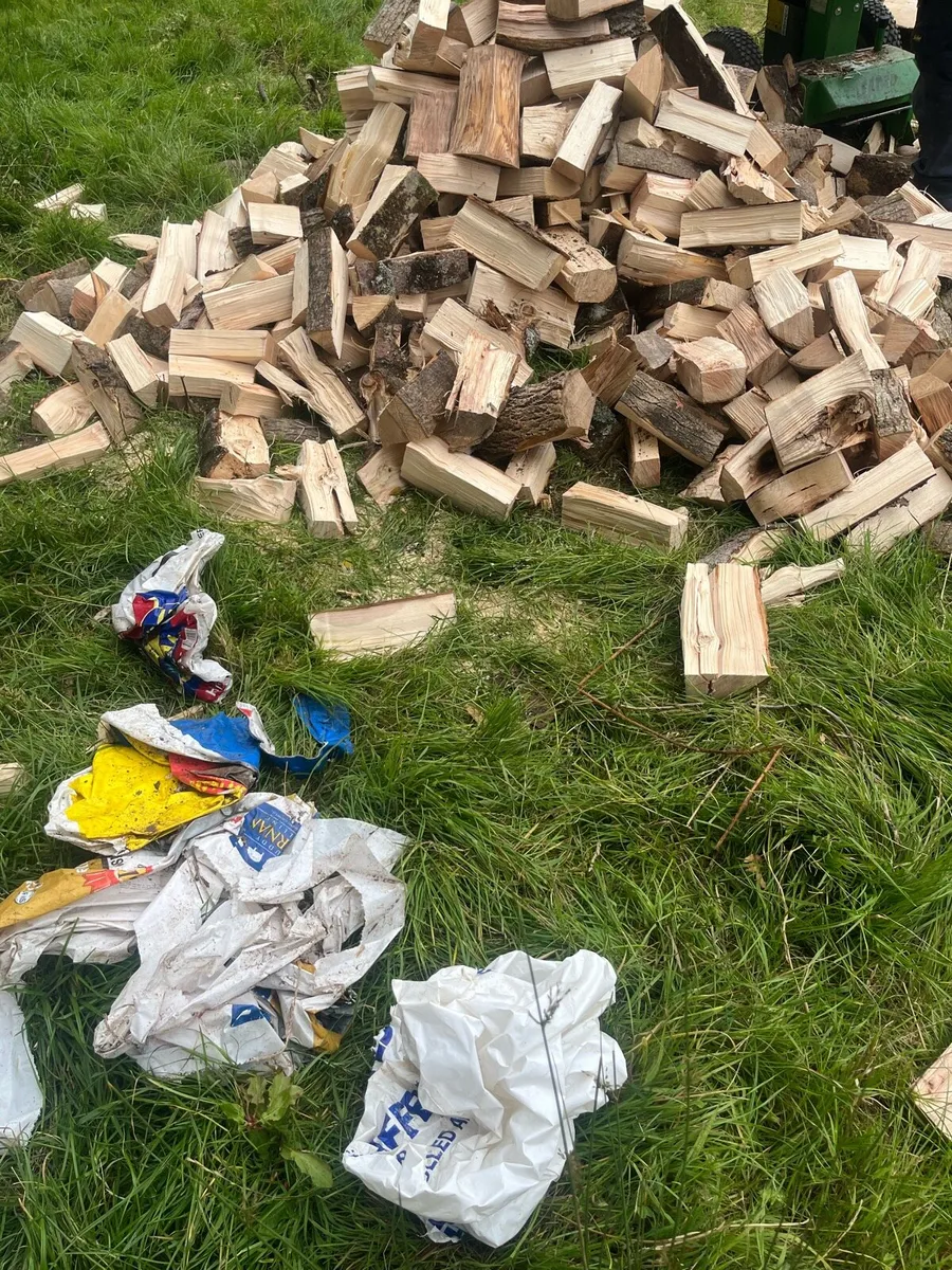 Majority ash hardwood firewood for sale - Image 2