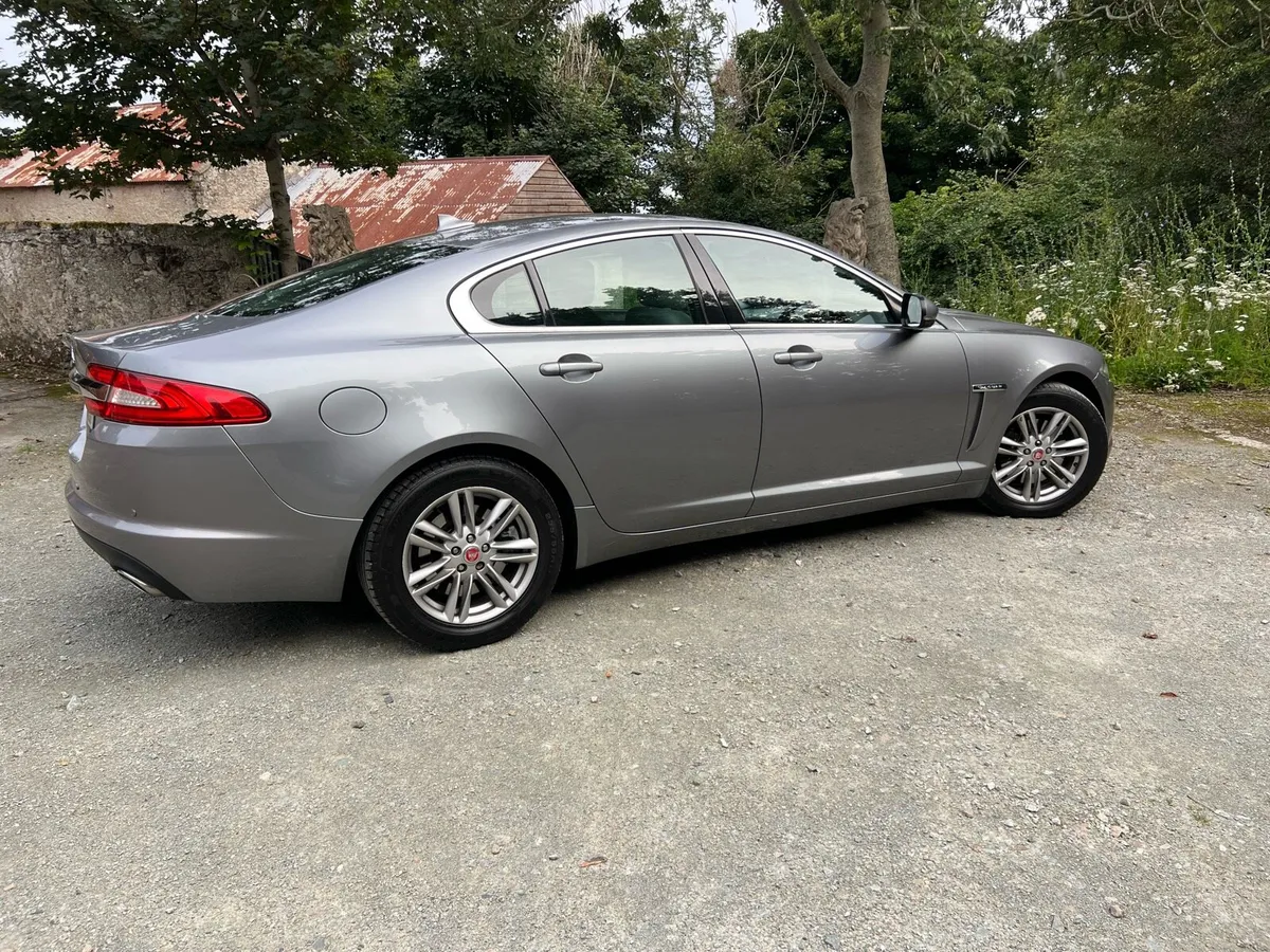Jaguar - Image 1