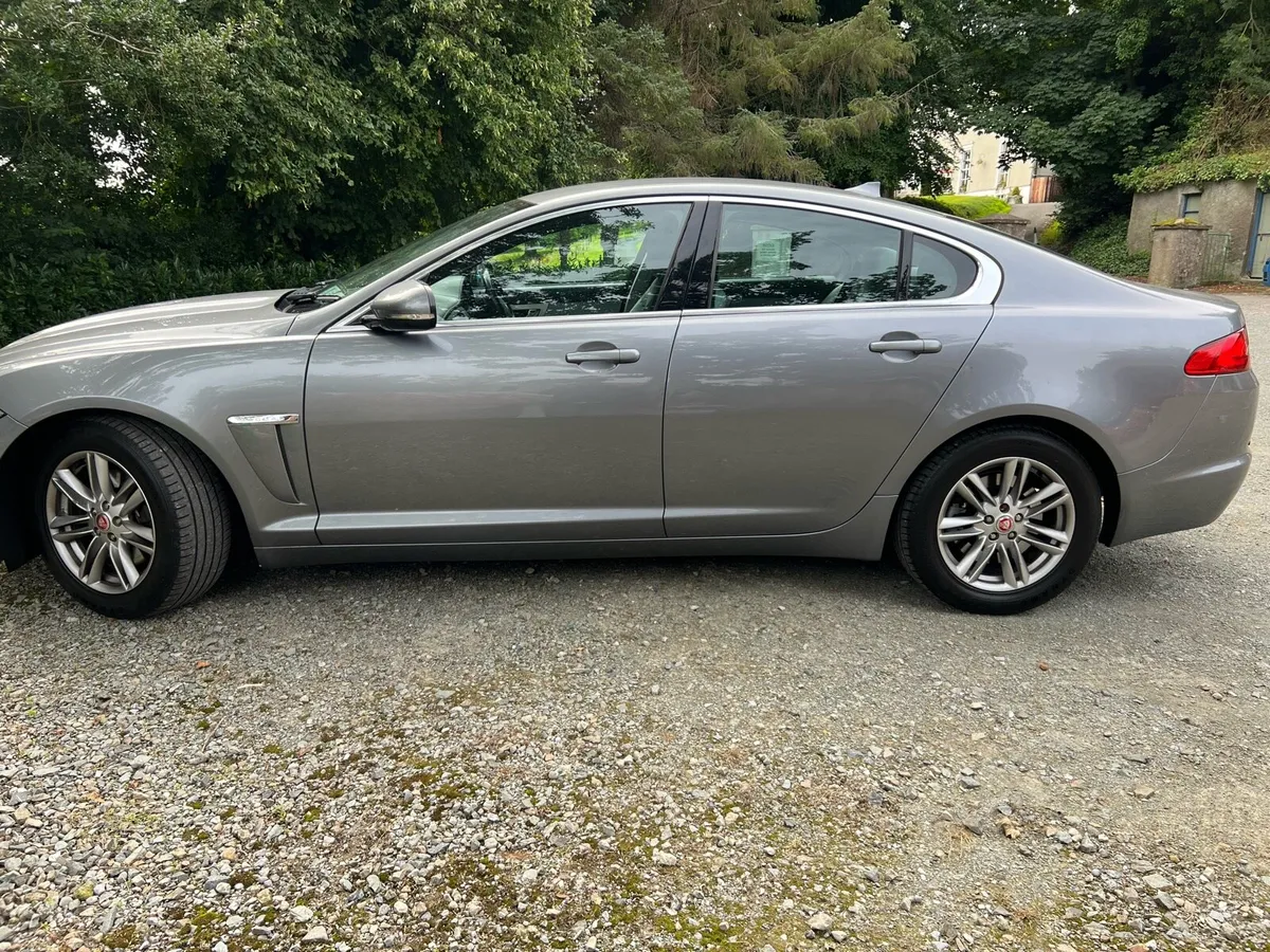 Jaguar - Image 2