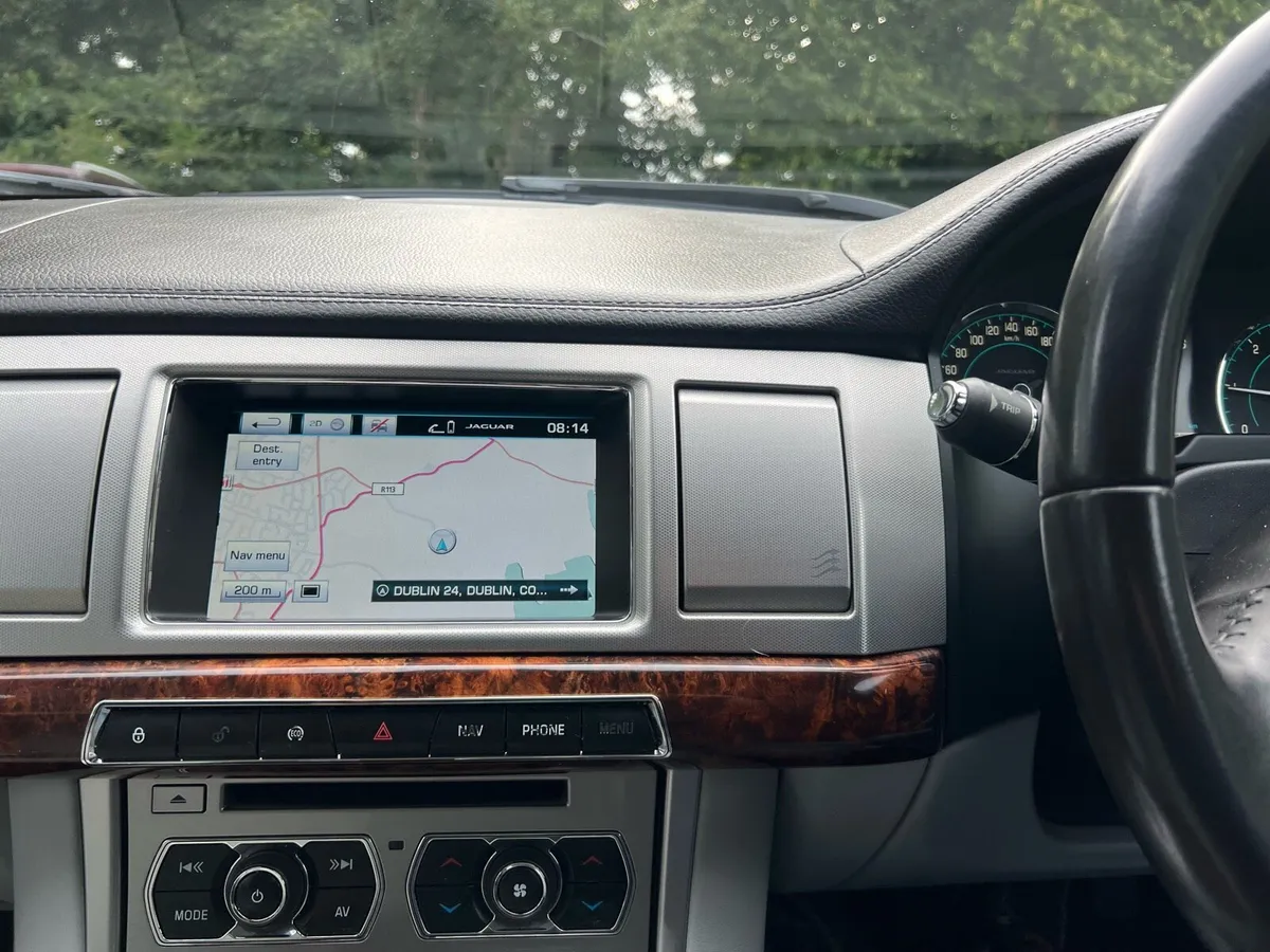 Jaguar - Image 4