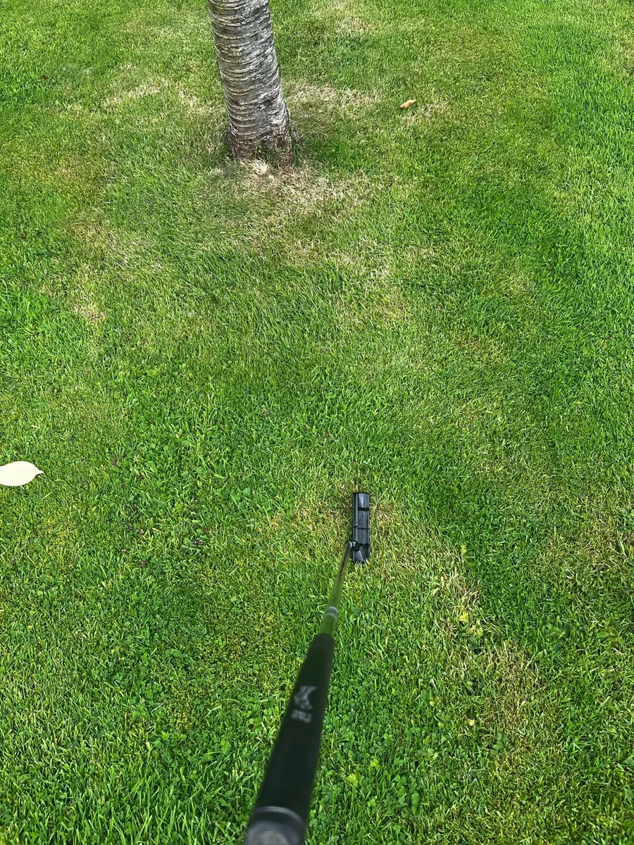 Putter - Image 2