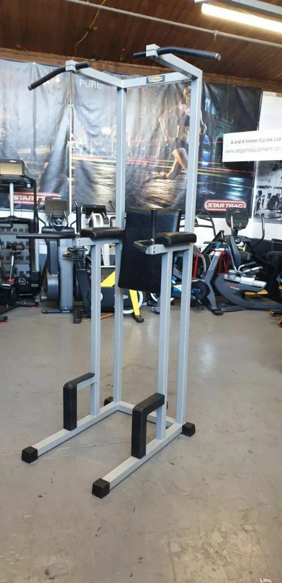 Usde Technogym Isotonic Chin Dip Commercial Gym - Image 1