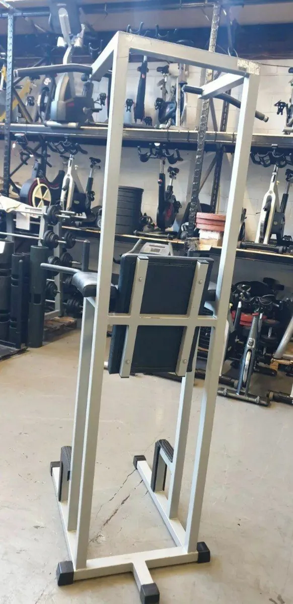 Usde Technogym Isotonic Chin Dip Commercial Gym - Image 4