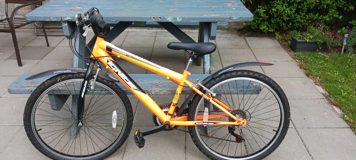 Kids mountain bike - Image 1