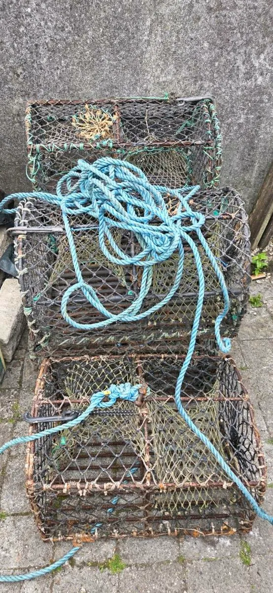 5×Lobster Pots