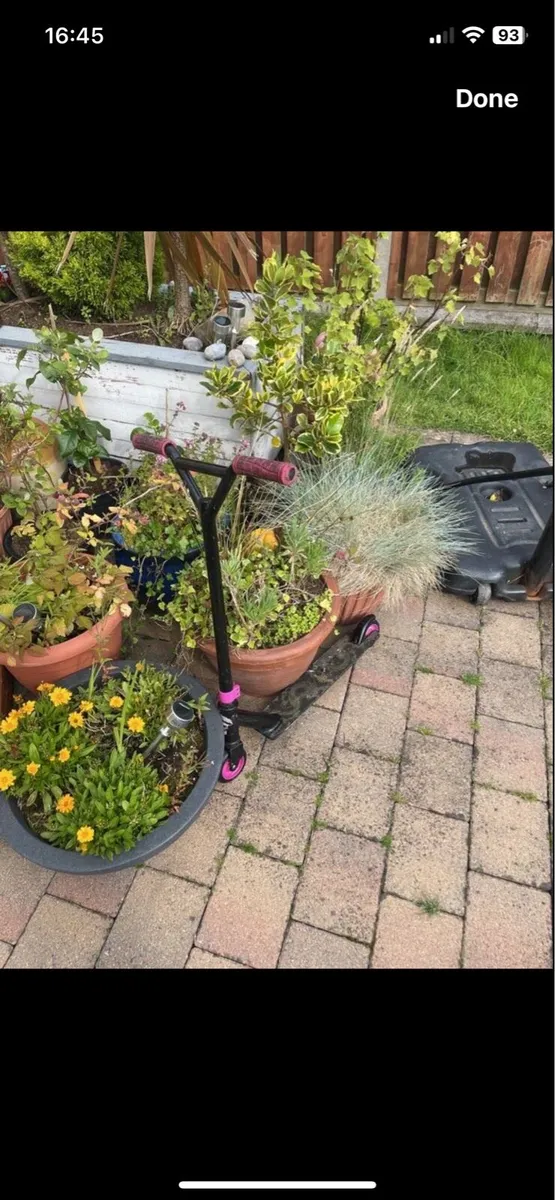 Scooters - Image 4