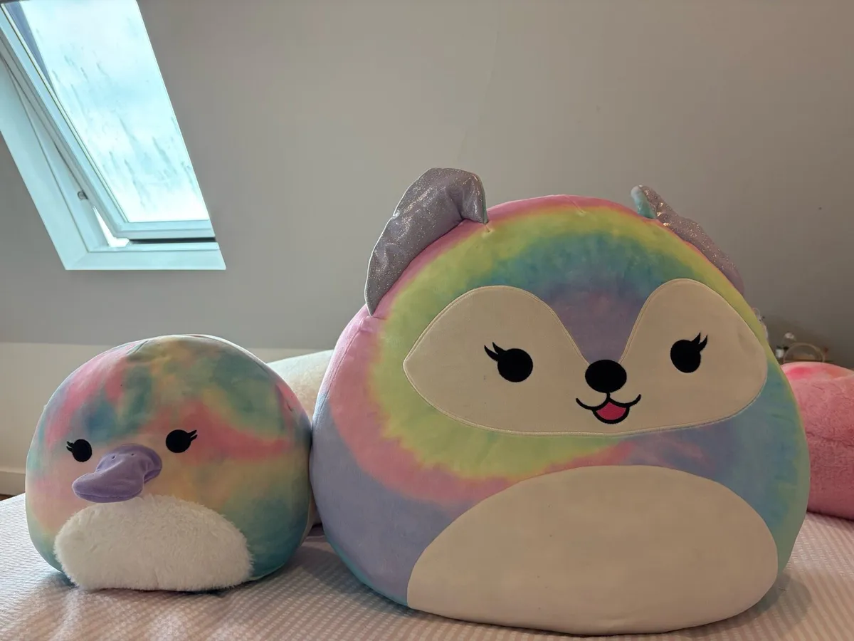 Squishmallow - Image 1