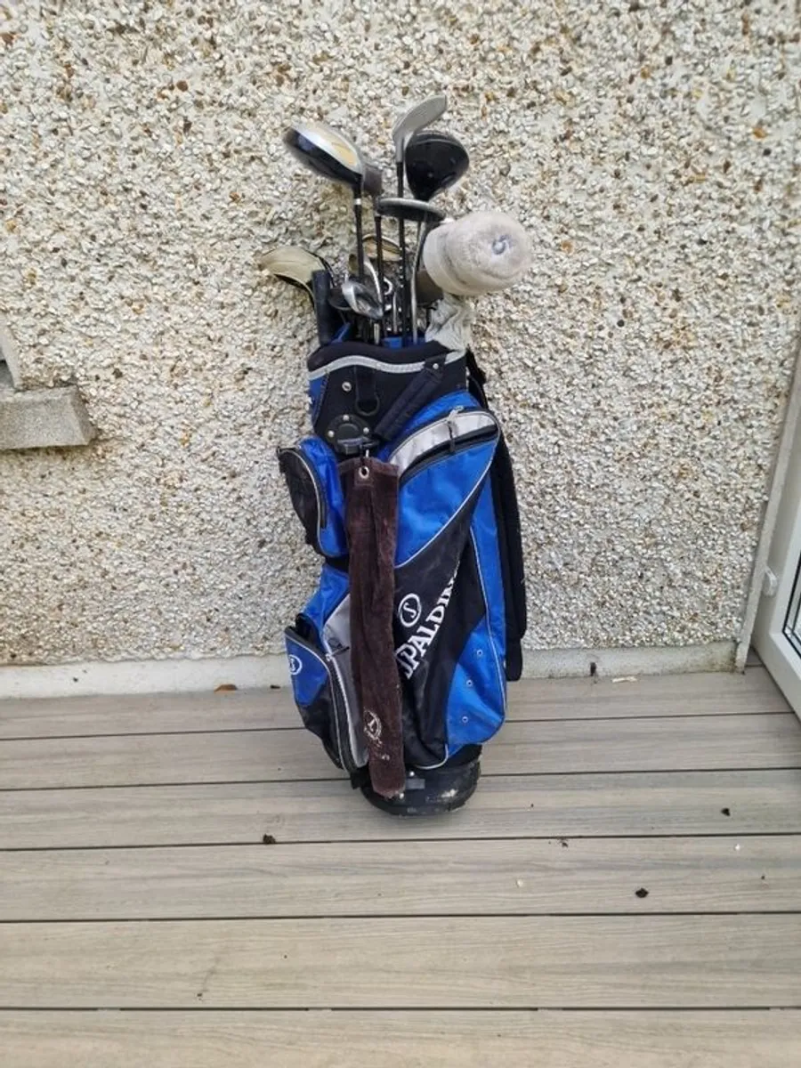 golf bag and assorted clubs