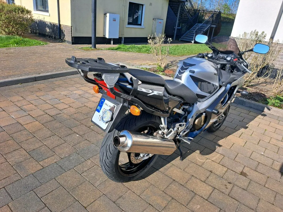 Honda CBR 600 - Image 3