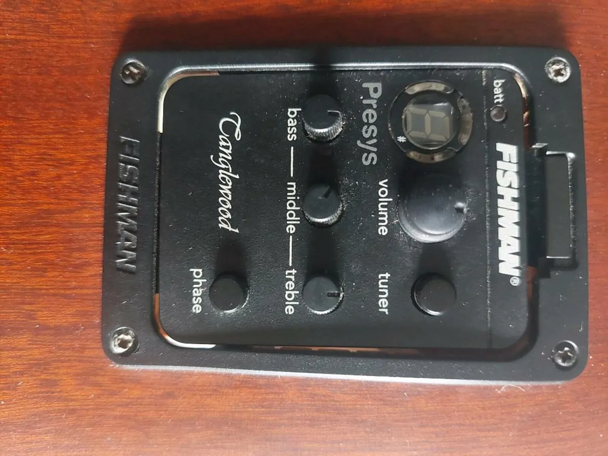 Tanglewood Parlour Electro Acoustic - Image 4