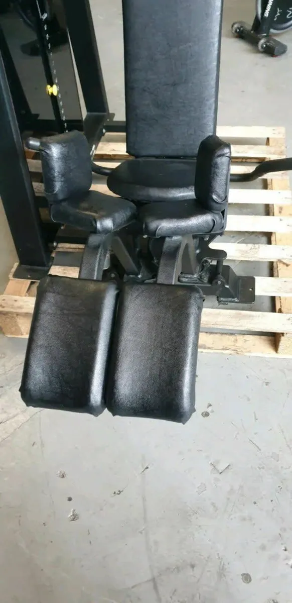Pulse Fitness LEG Adductor Machine Commercial Gym - Image 2
