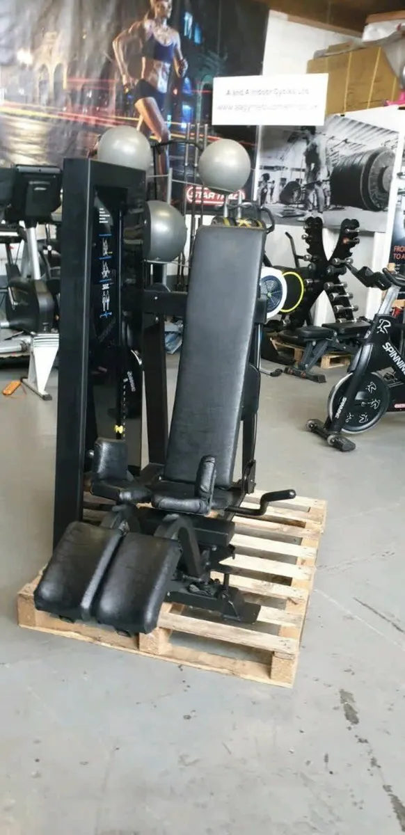 Pulse Fitness LEG Adductor Machine Commercial Gym - Image 1