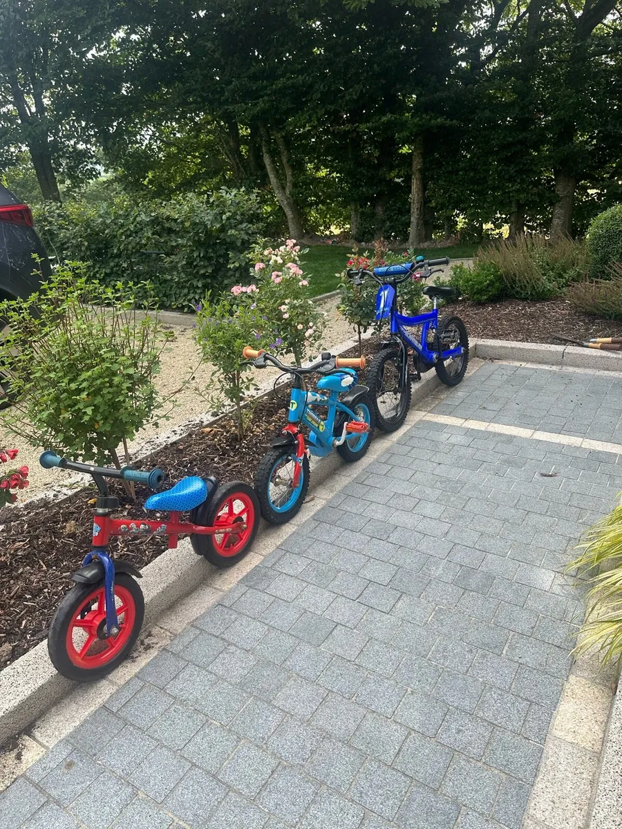 Bicycle - Image 1