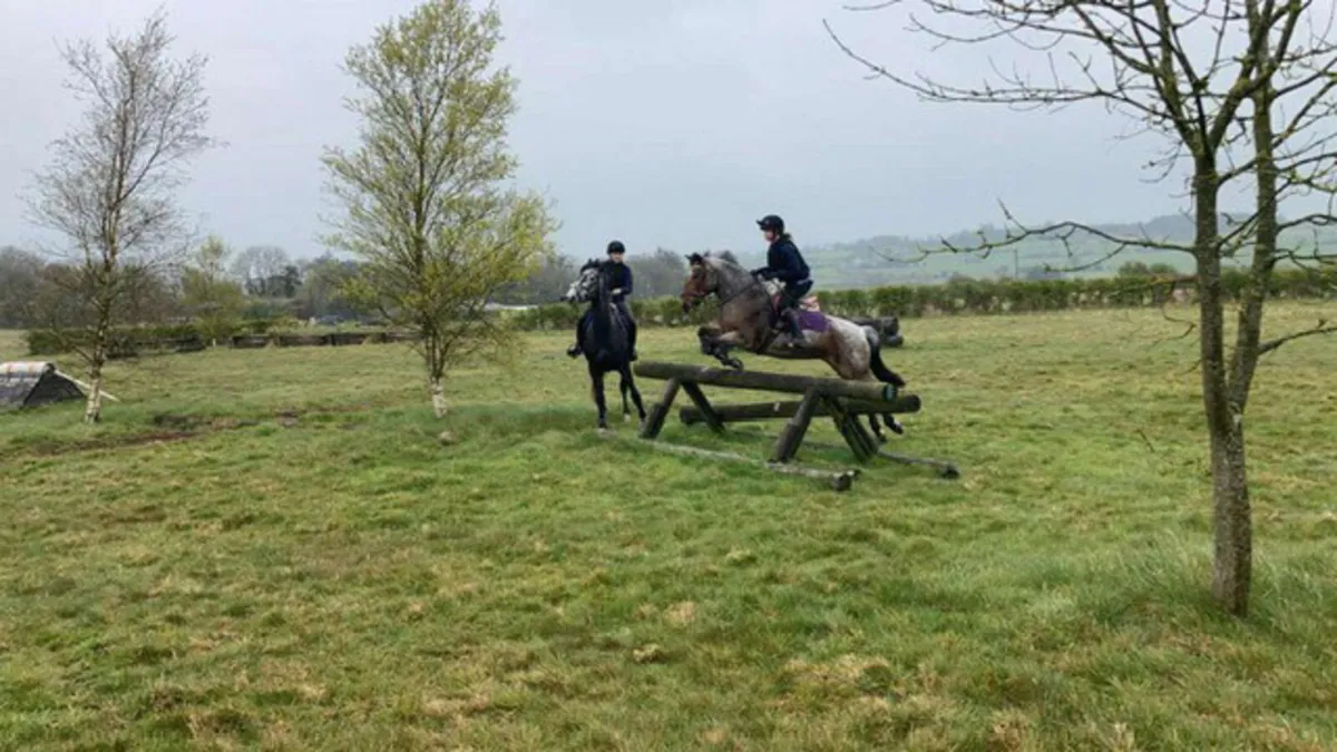 13.2 schoolmaster🌟🌟