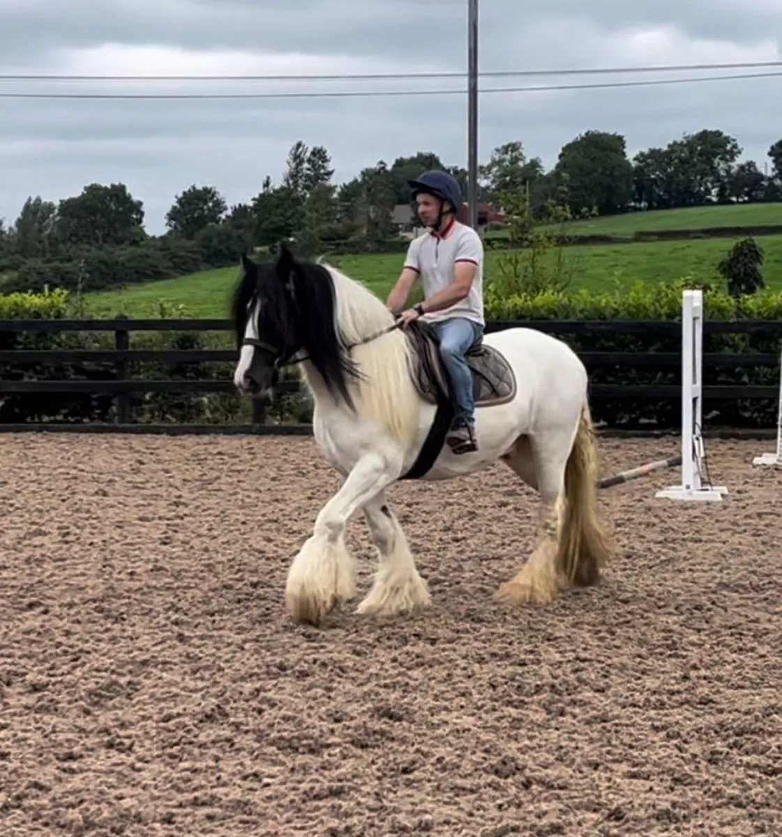 Stunning cob ‘CHARLIE’ - Image 1