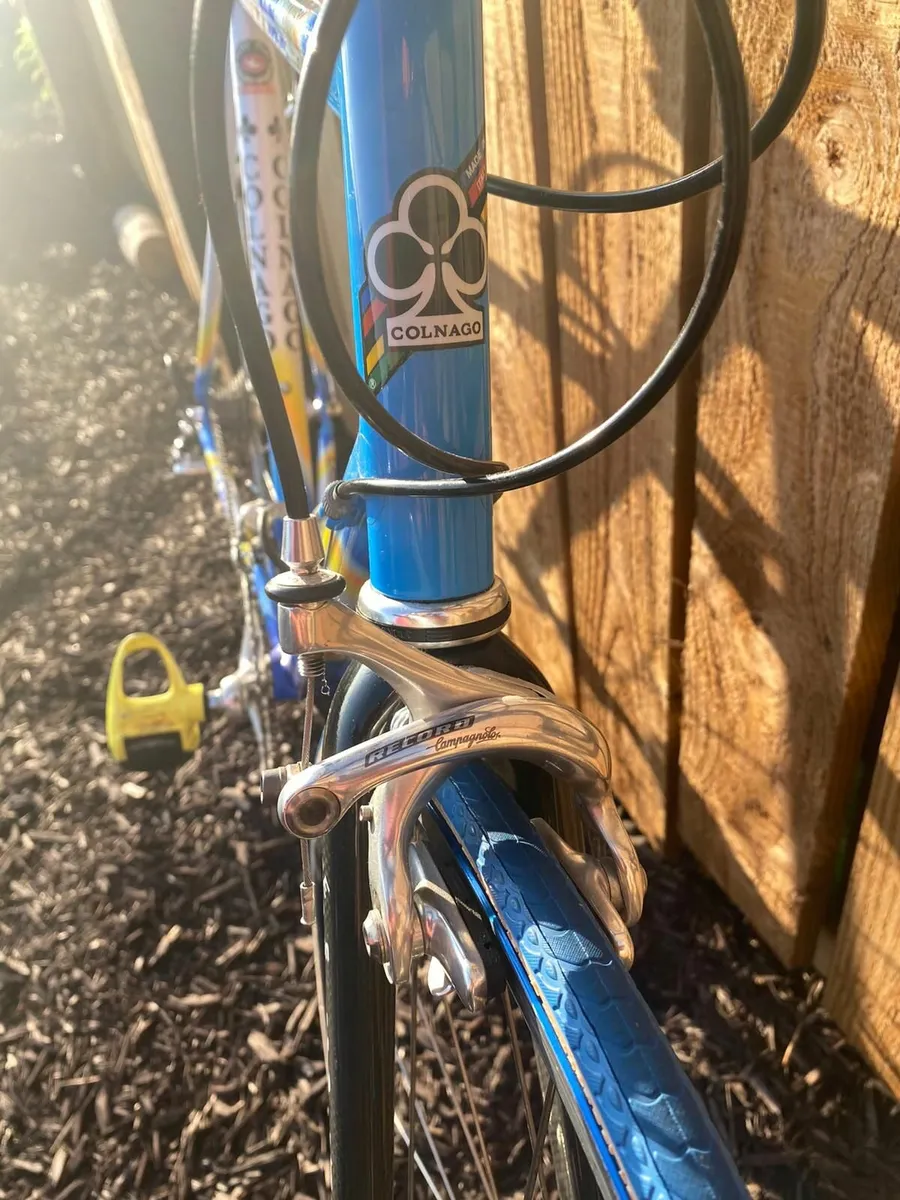 Colnago Dream Mapei edition - Image 4