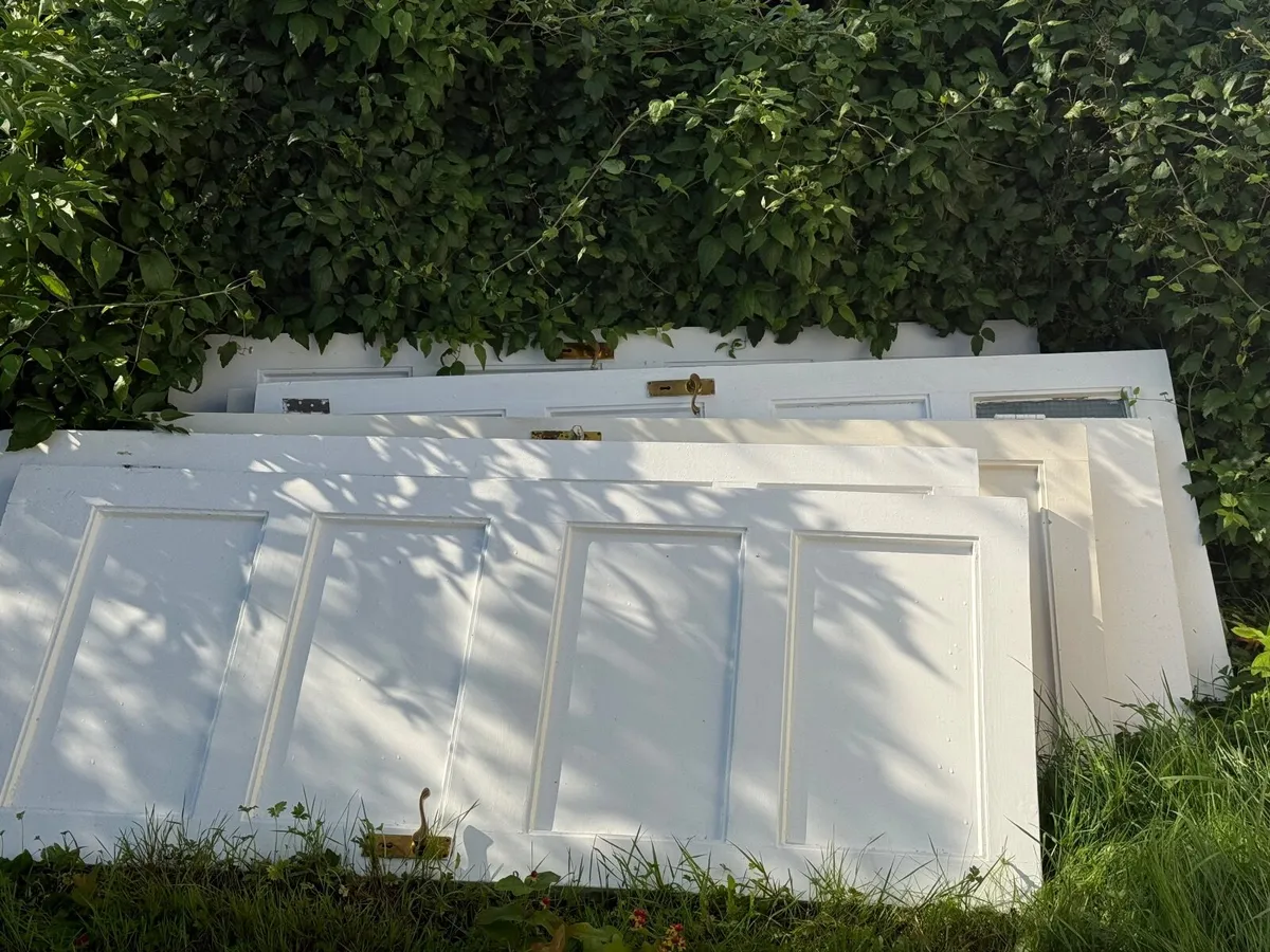 Doors - Image 1