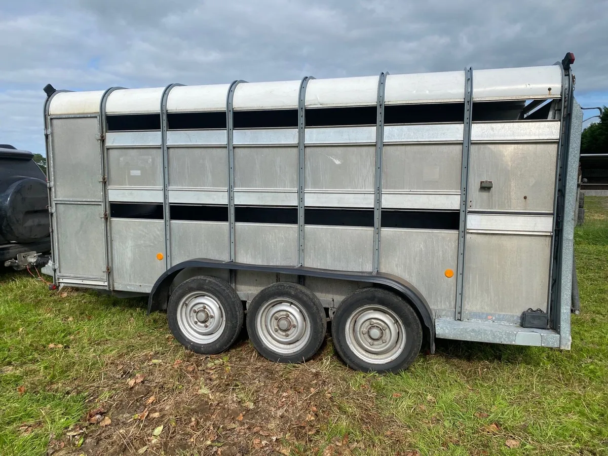 14ft Ifor Williams sheep trailer - Image 2