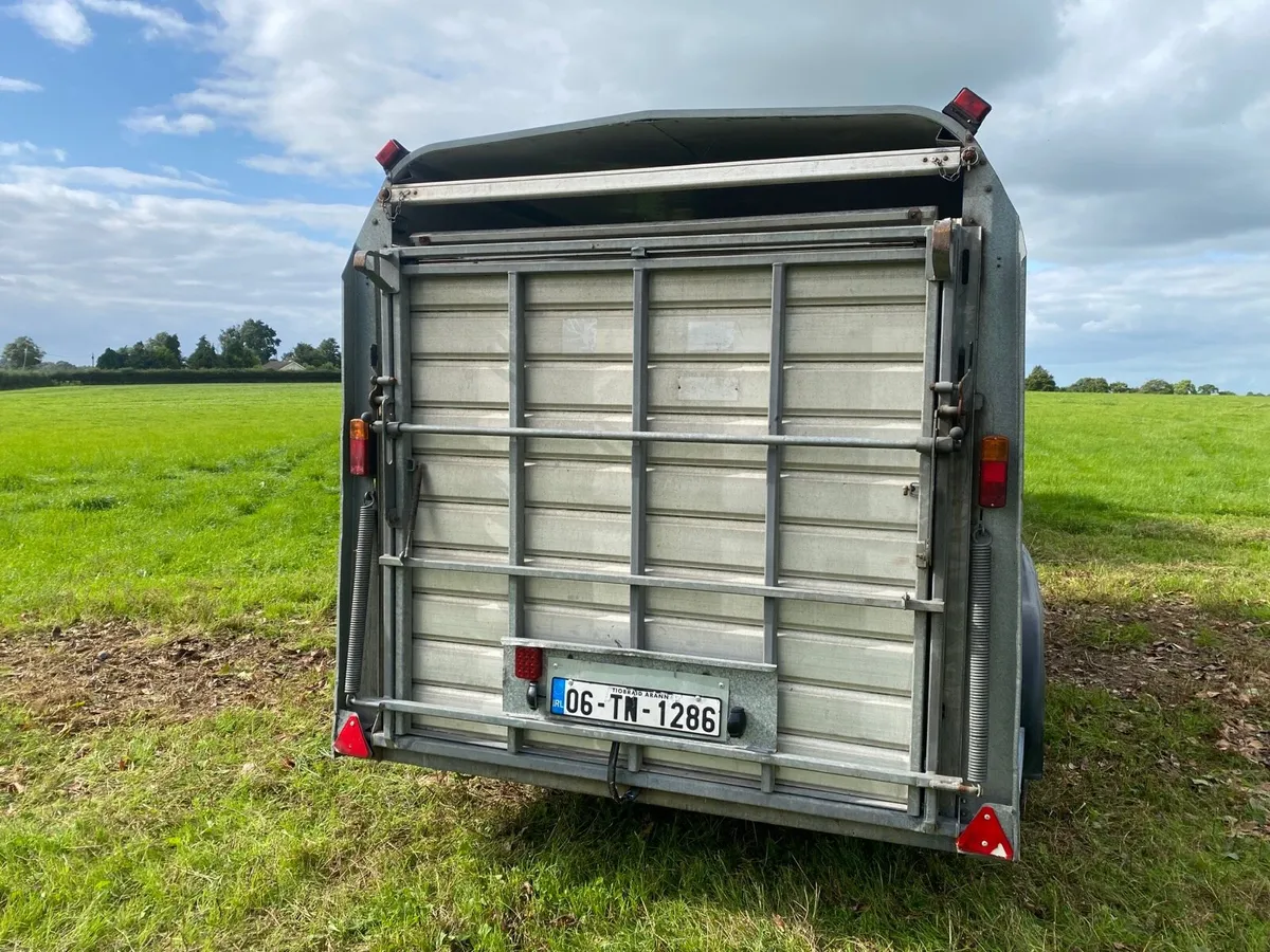 14ft Ifor Williams sheep trailer - Image 3