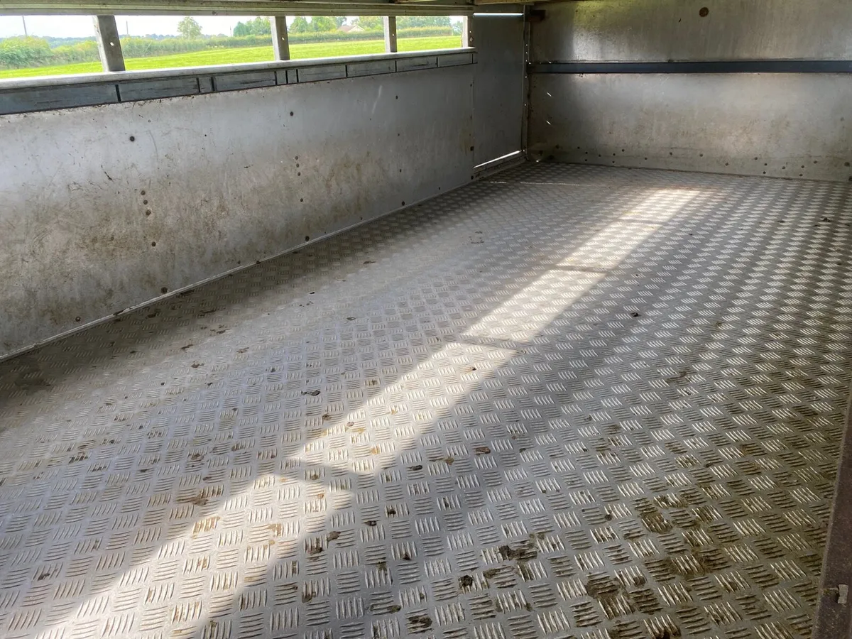 14ft Ifor Williams sheep trailer - Image 4