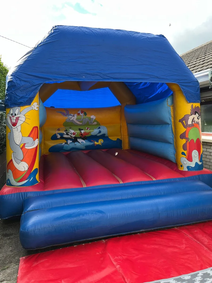 Bouncy castle Waterford - Image 2
