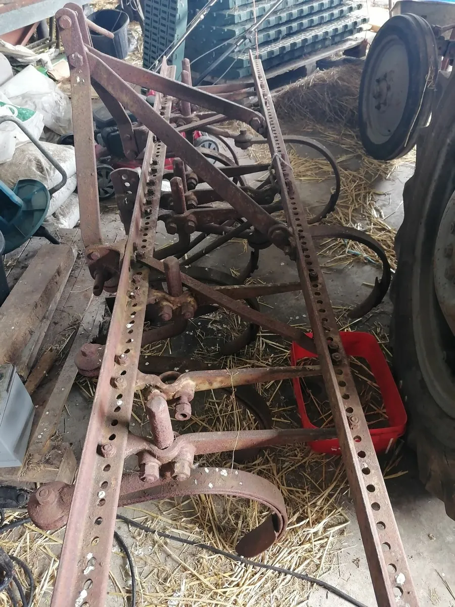 Ferguson culitivator grubber - Image 3