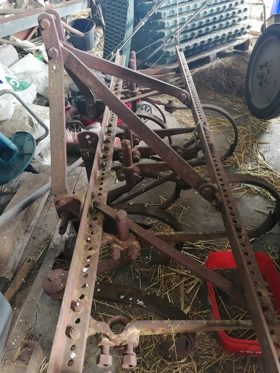 Ferguson culitivator grubber - Image 4