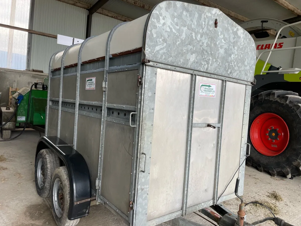 8x4 cow box cattle trailer - Image 1