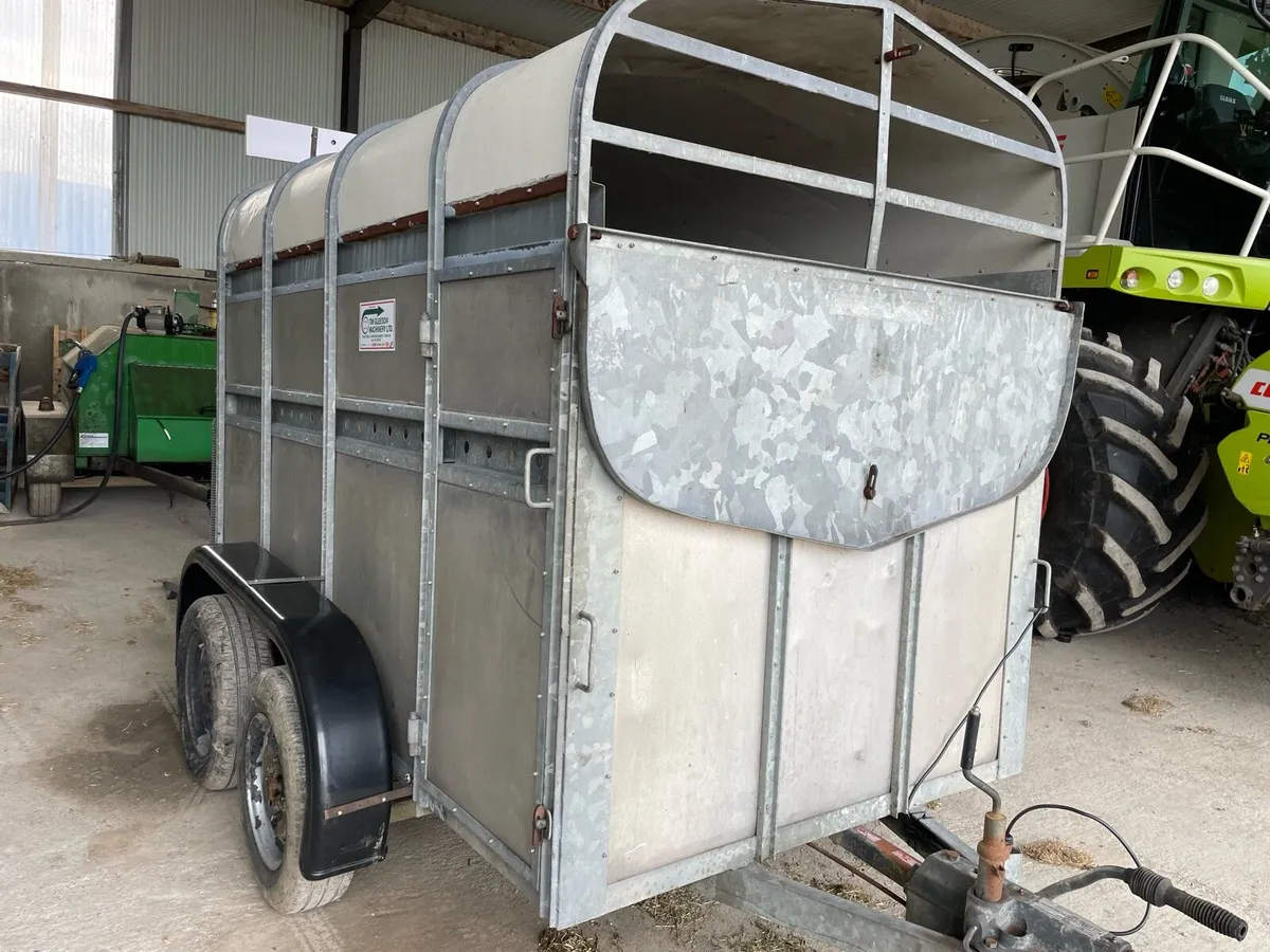 8x4 cow box cattle trailer - Image 2