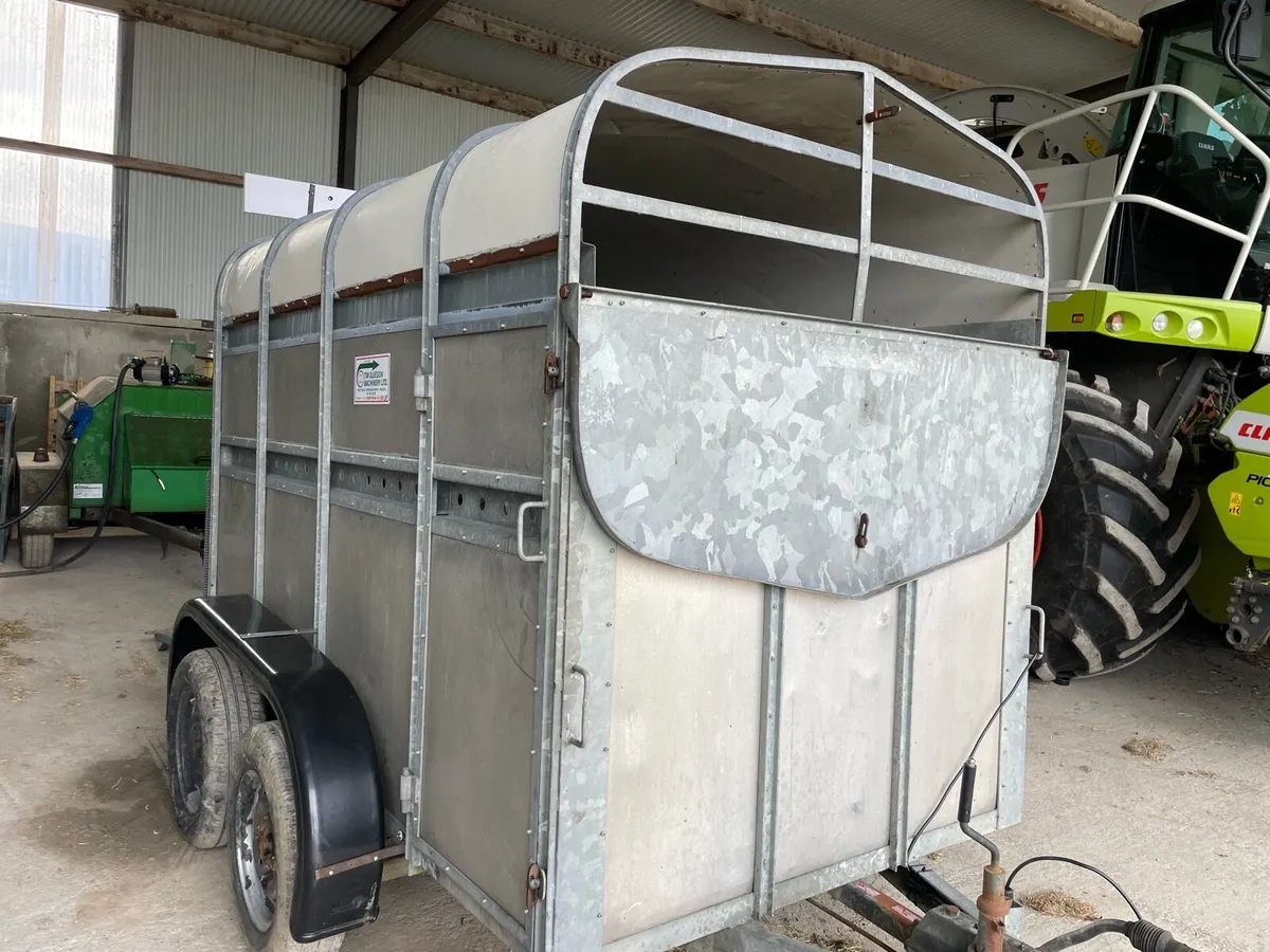 8x4 cow box cattle trailer - Image 3