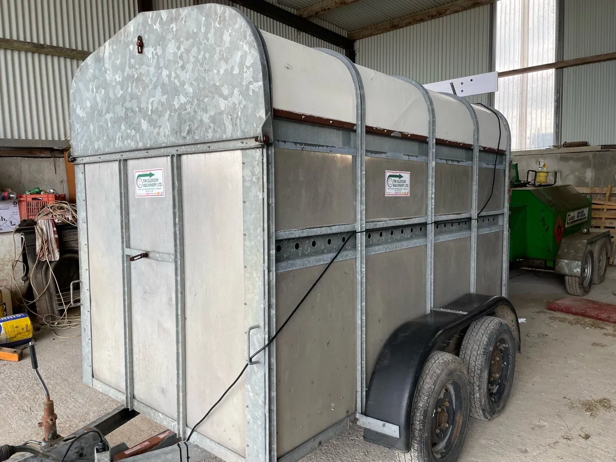 8x4 cow box cattle trailer - Image 4