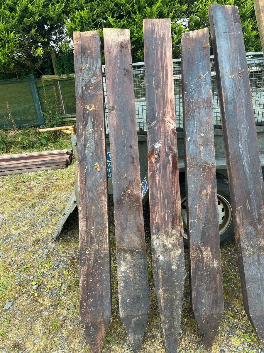 Timber - Image 4