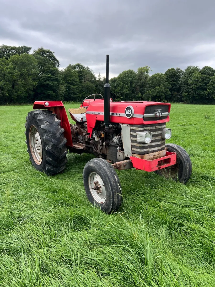 Massey Ferguson 165 - Image 1