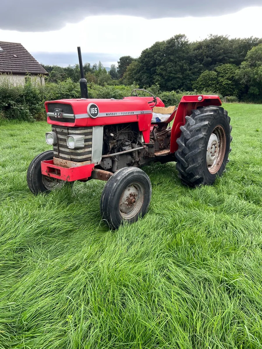 Massey Ferguson 165 - Image 2