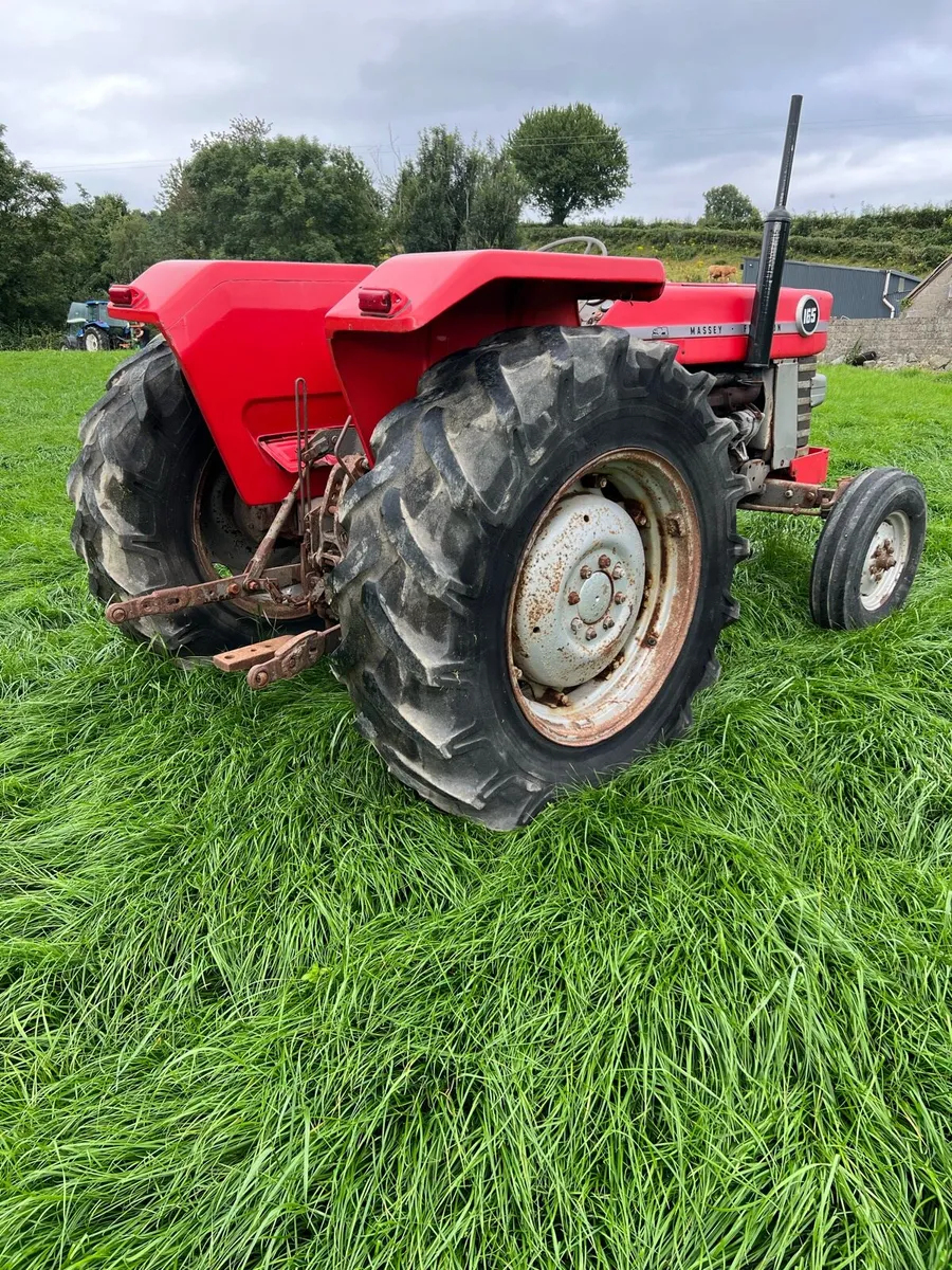 Massey Ferguson 165 - Image 3