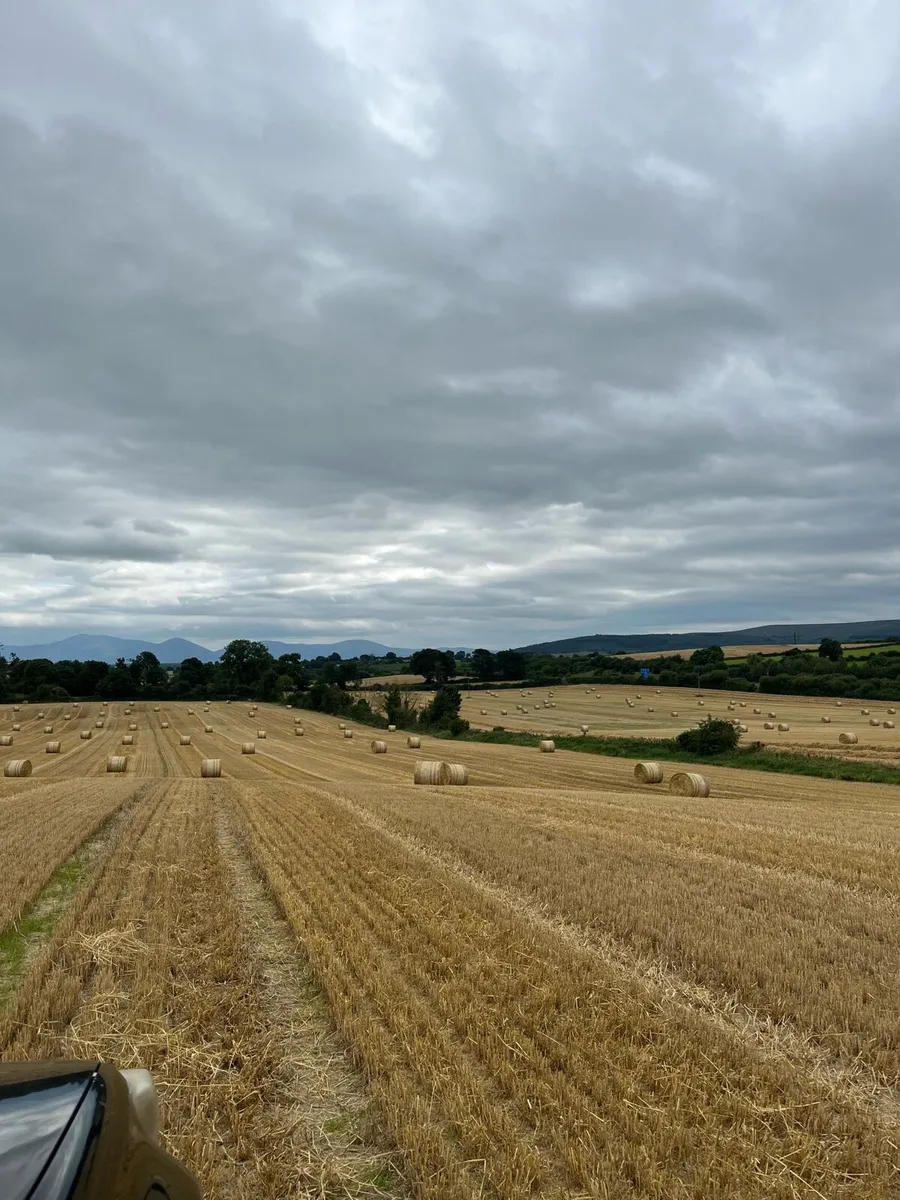 Spring barely 4x4 bales 10mins from m8 motorway - Image 1