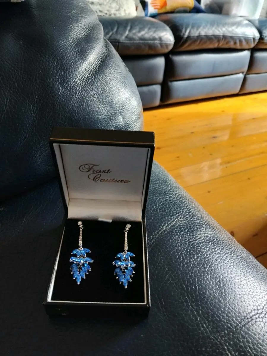 Frost Couture Earings