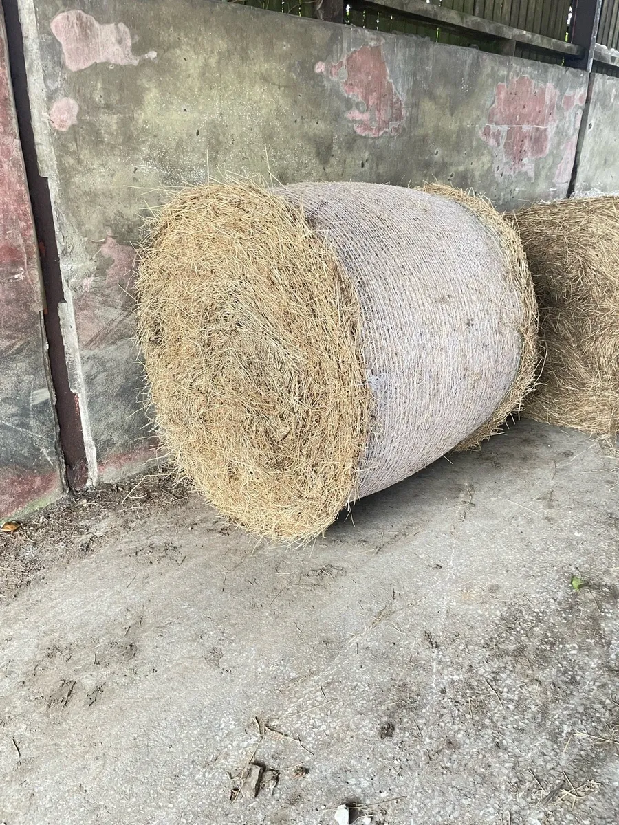 Hay bales - Image 2