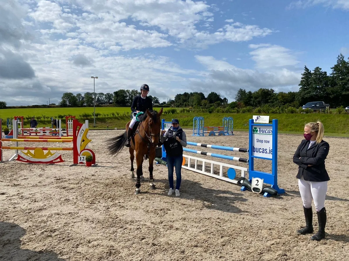 17.2 12yr showjumper/allrounder - Image 4