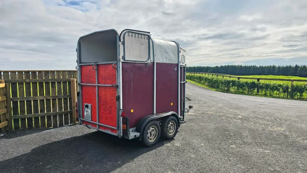 Ifor Williams 505 Classic Horsebox - Image 2