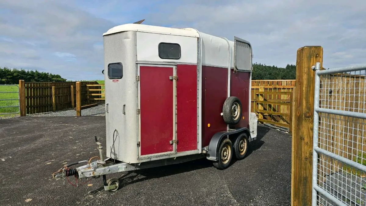 Ifor Williams 505 Classic Horsebox - Image 4