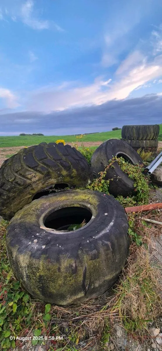 Dumper truck tyres - Image 1