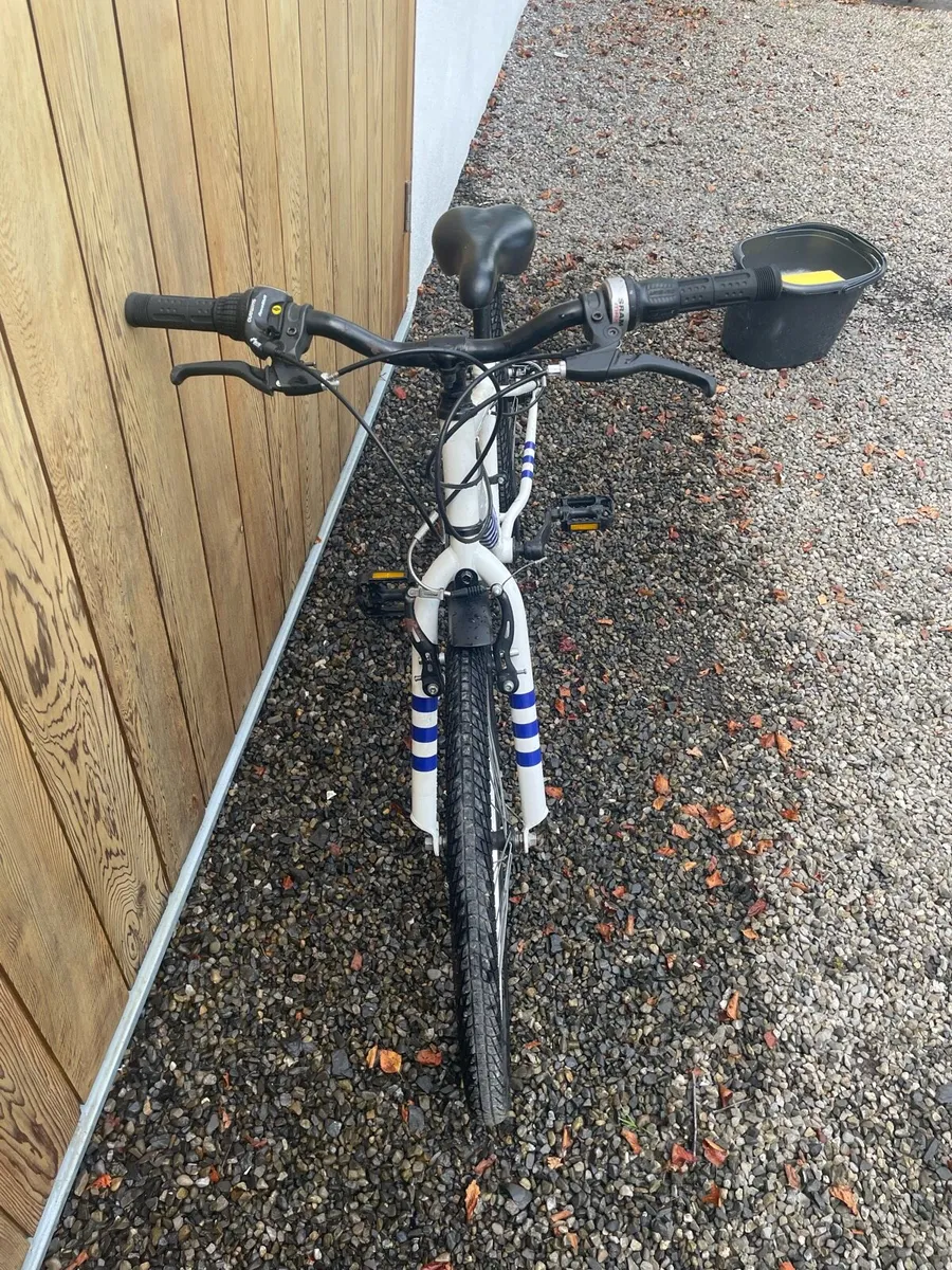 Bike - Image 2