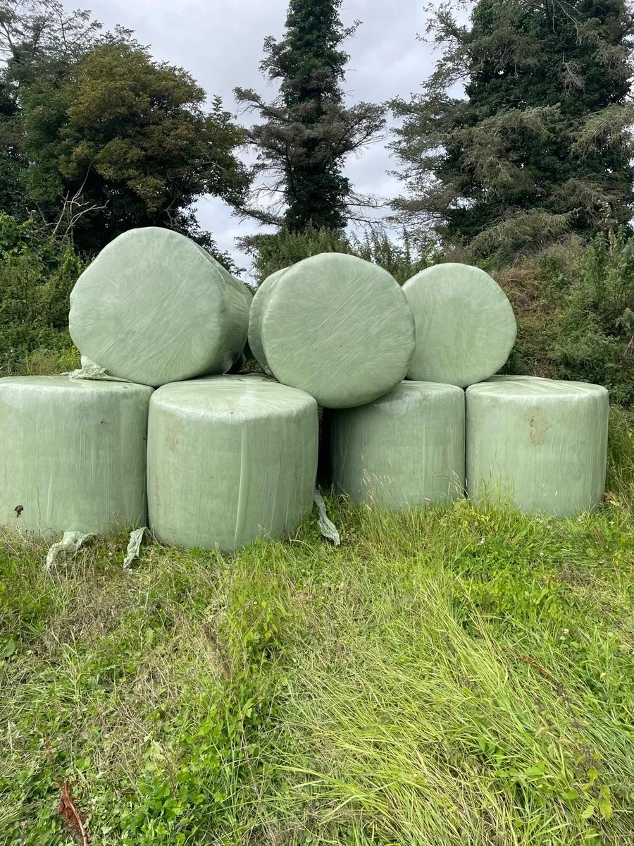 Hay bales